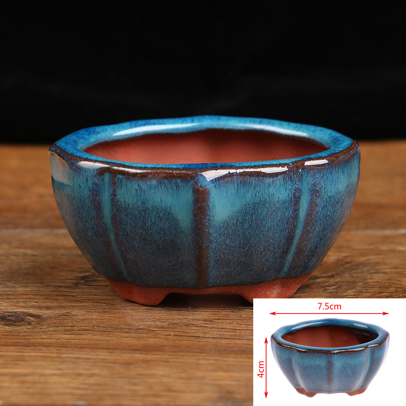 Japanese Garden Bonsai - 1pcs Bonsai Mini Ceramic Flowerpot Succulent