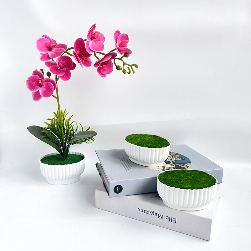 Bonsai Garden Shop - Corrosion resistant injection molding process for