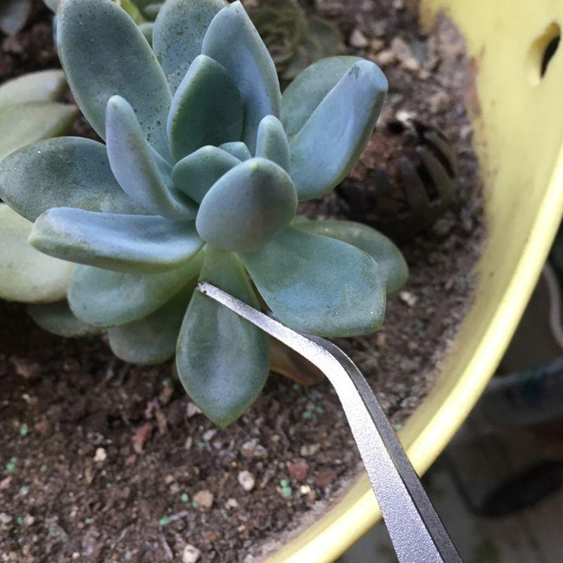D8KF Durable Gardening Rake Mi - Bonsai Garden Shop 评论和价格