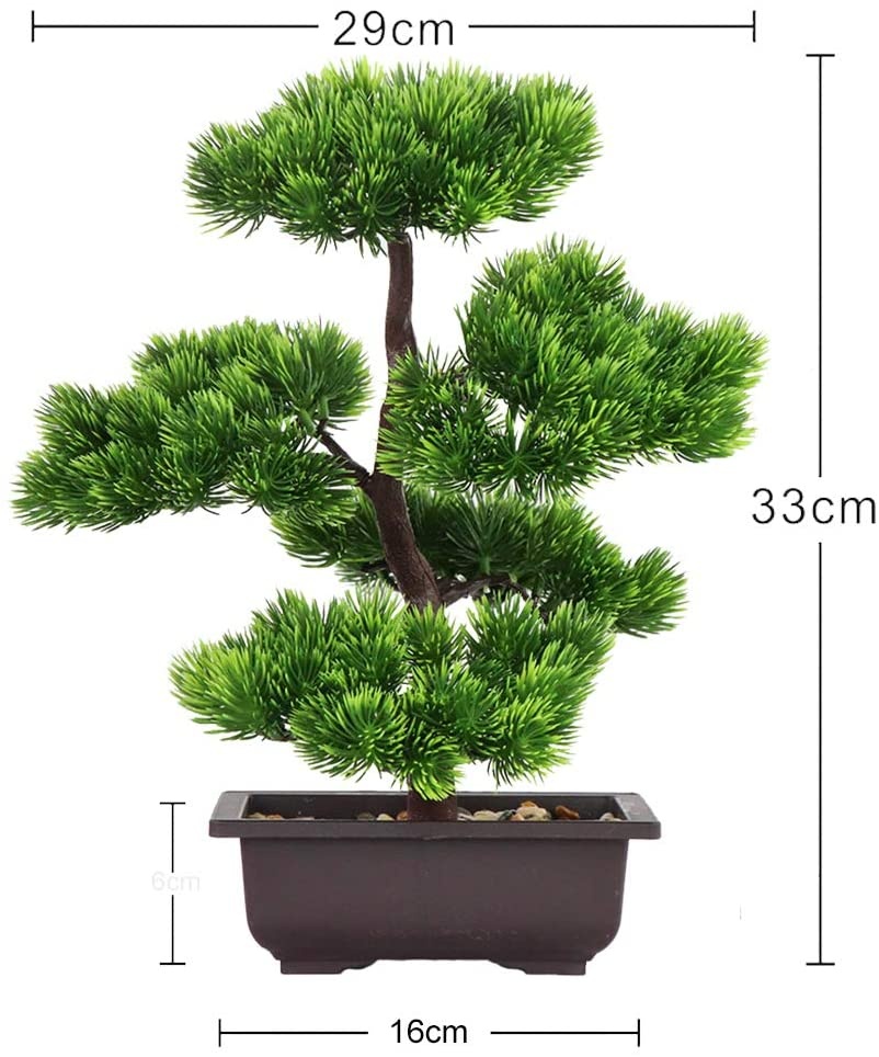 Japanese Pine Bonsai Plant for - Japanese Garden Bonsai 评论和价格