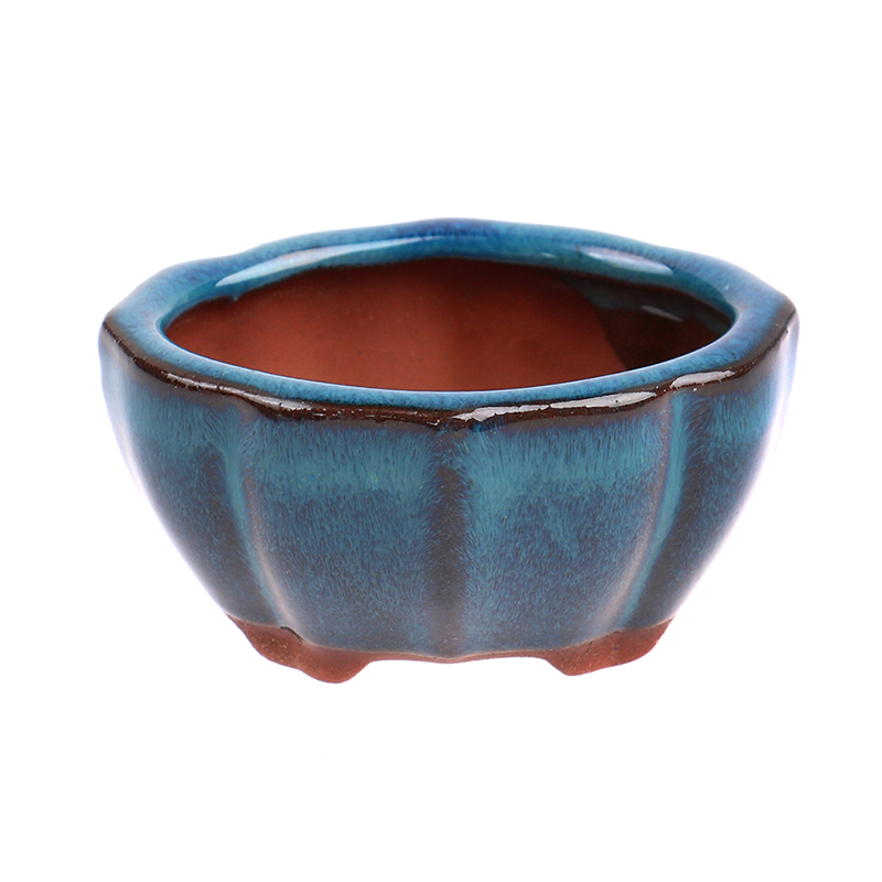 1pcs Bonsai Mini Ceramic Flowe - Japanese Garden Bonsai 评论和价格