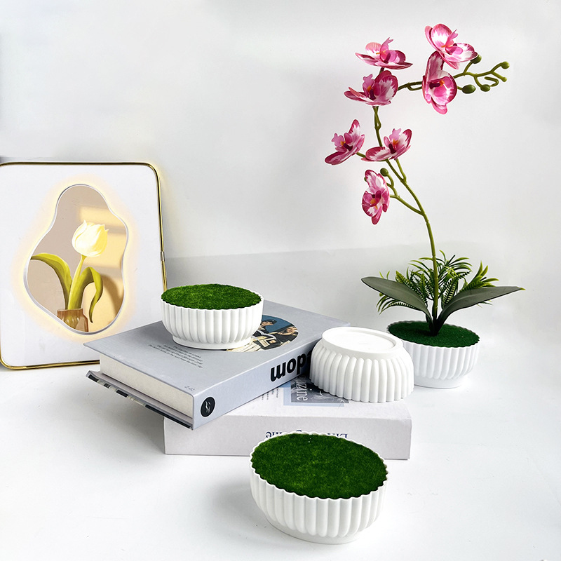 Corrosion resistant injection  - Bonsai Garden Shop 评论和价格