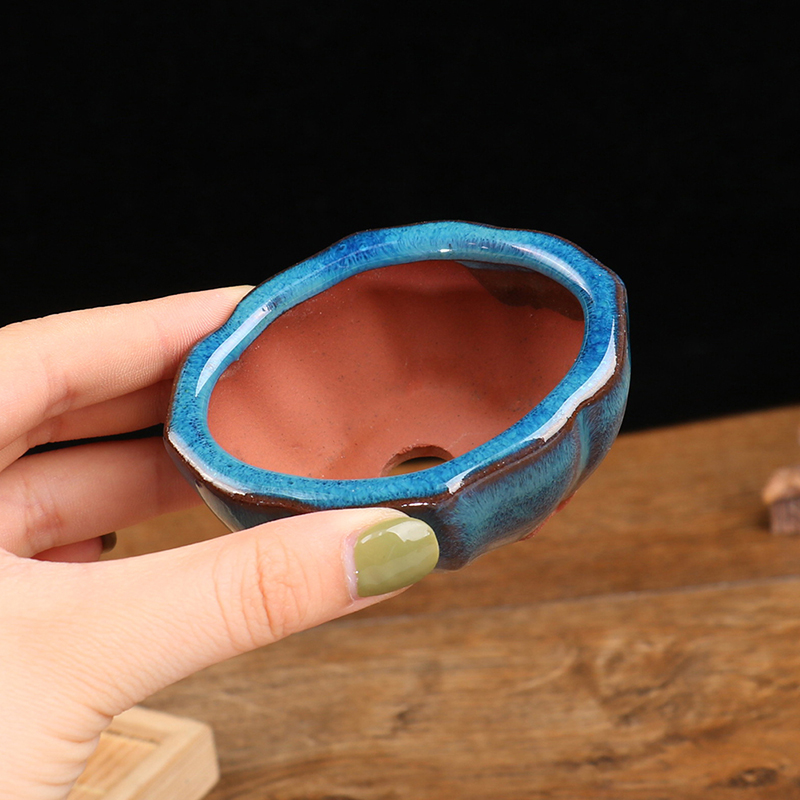 Chinese Style Bonsai Pots Brea - Training Pot Ceramic 评论和价格