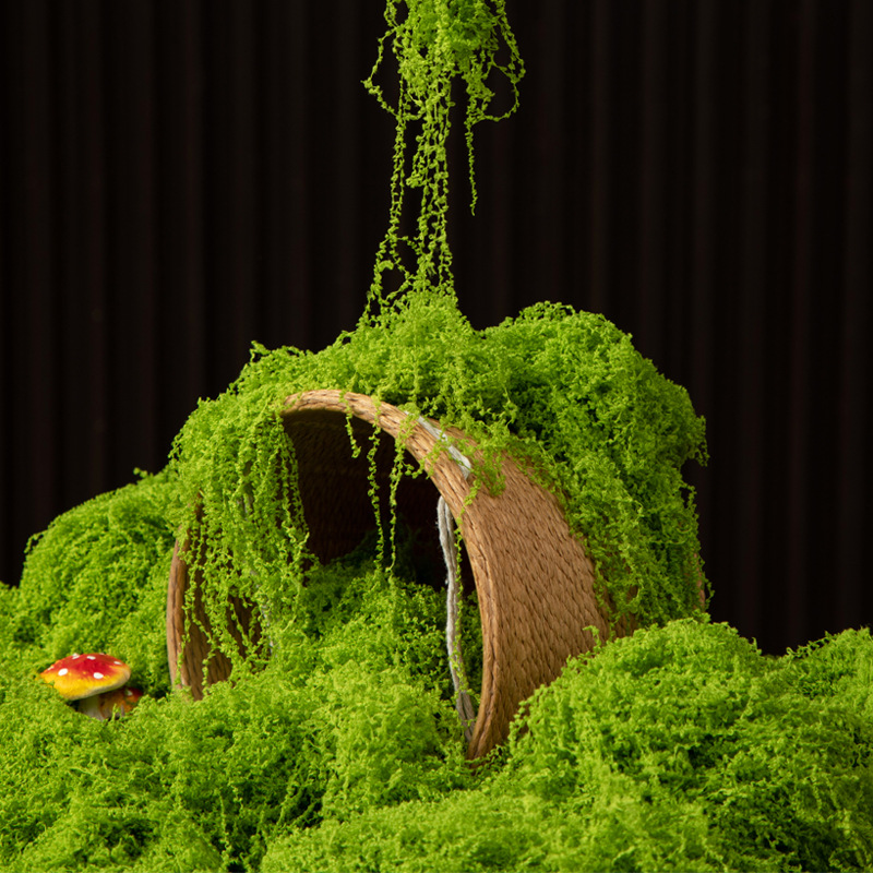 200g Eternal Life Moss DIY Cra - Bonsai Garden Home 评论和价格