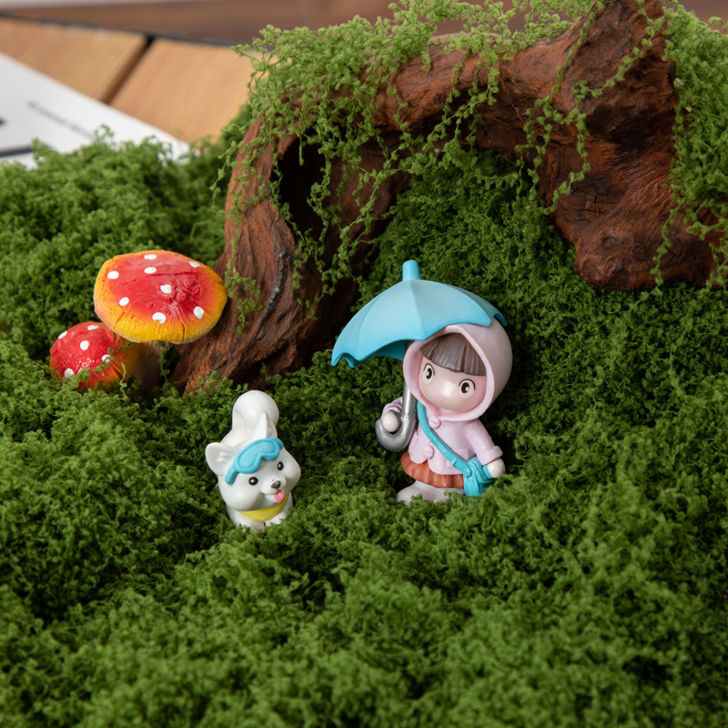 200g Eternal Life Moss DIY Cra - Bonsai Garden Home 评论和价格