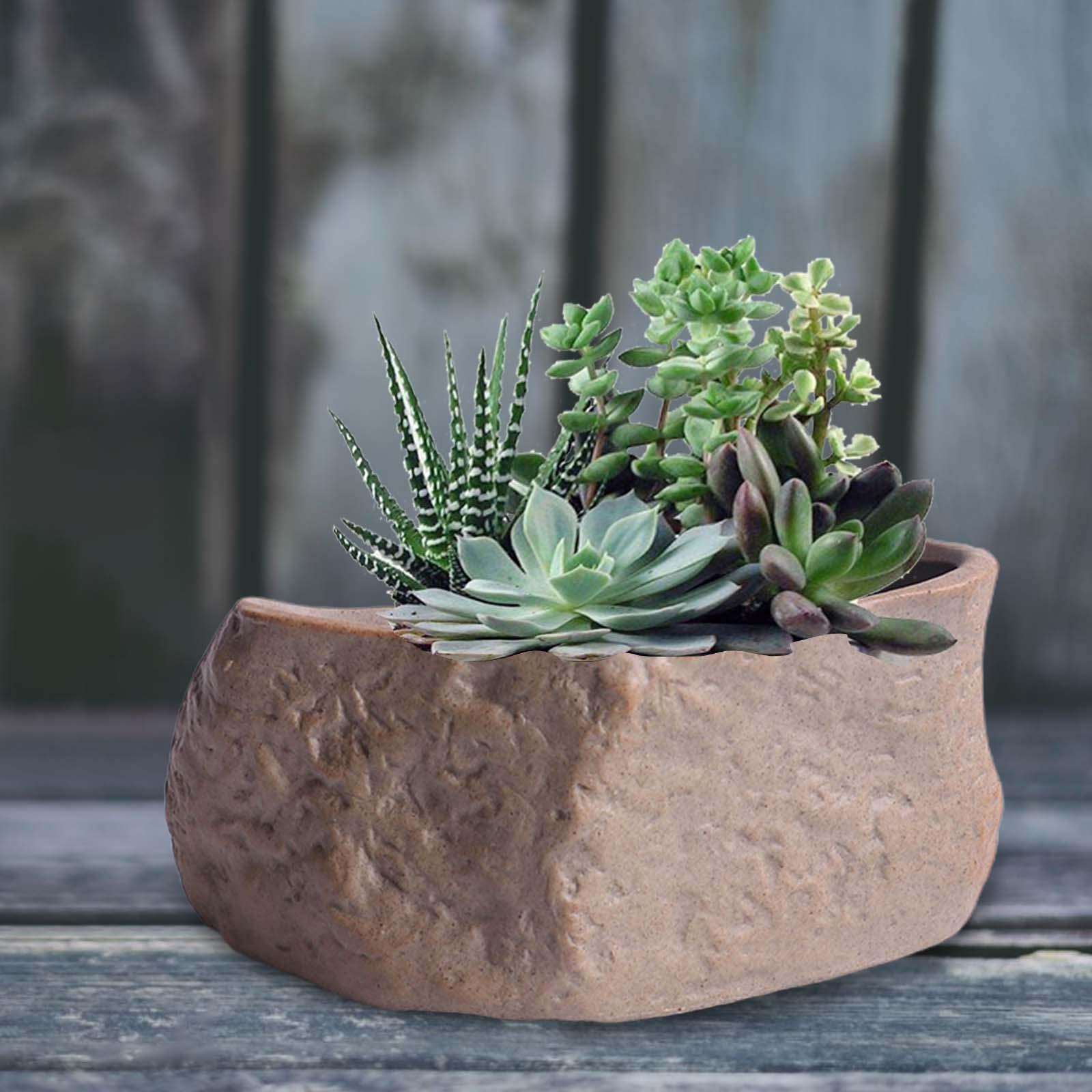 Ceramic Succulent Pot Lightwei - Training Pot Ceramic 评论和价格