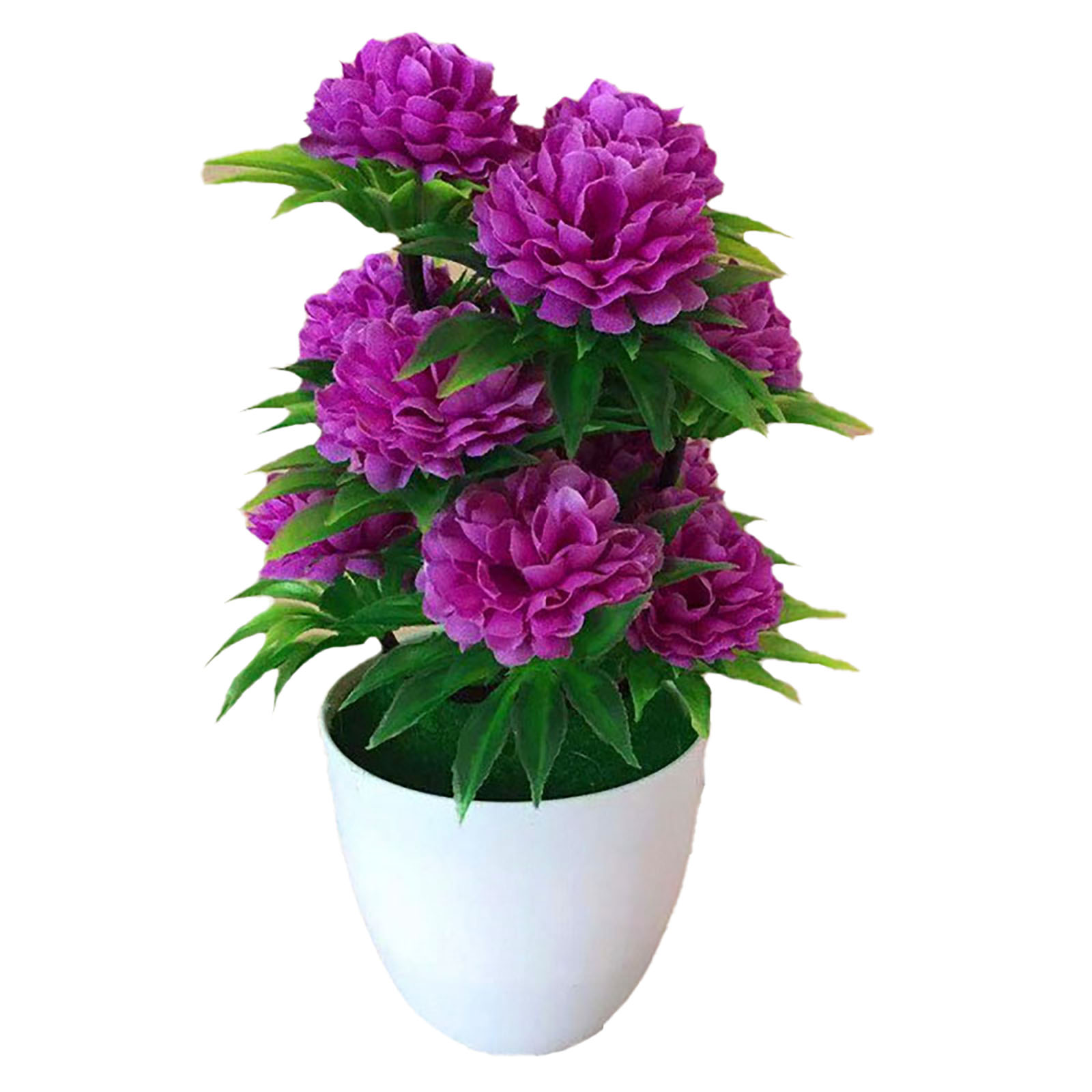 Beautiful Decoration Stylish A - Bonsai Garden Shop 评论和价格