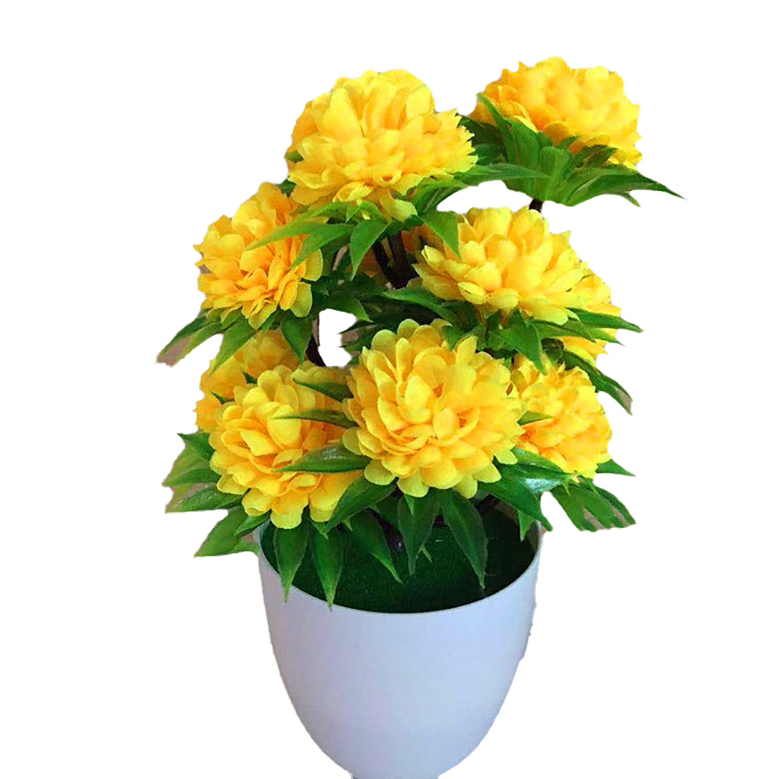 Beautiful Decoration Stylish A - Bonsai Garden Shop 评论和价格