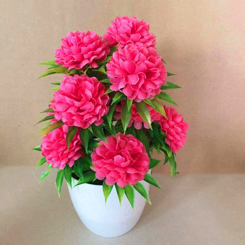 Beautiful Decoration Stylish A - Bonsai Garden Shop 评论和价格