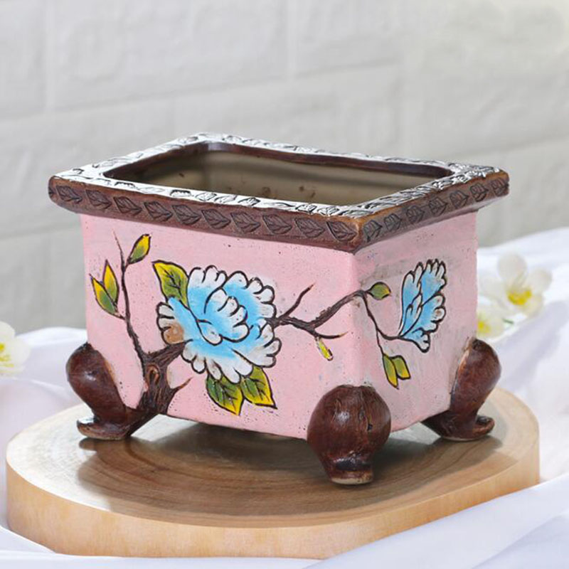 Korean Style Handpainted Flora - Japanese Garden Bonsai 评论和价格