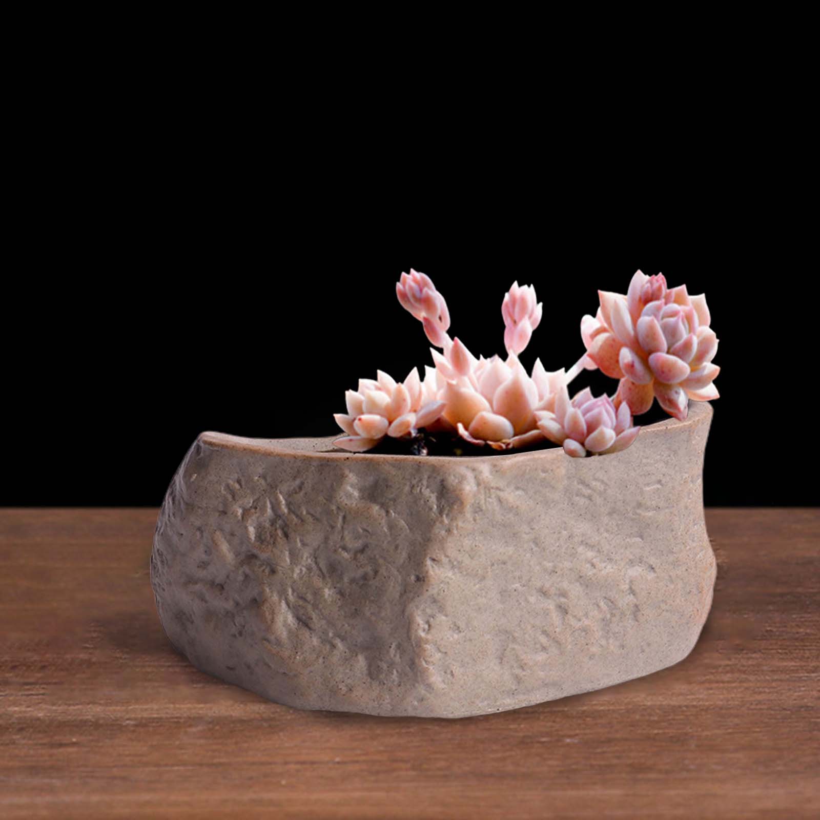 Ceramic Succulent Pot Stone Sh - Training Pot Ceramic 评论和价格