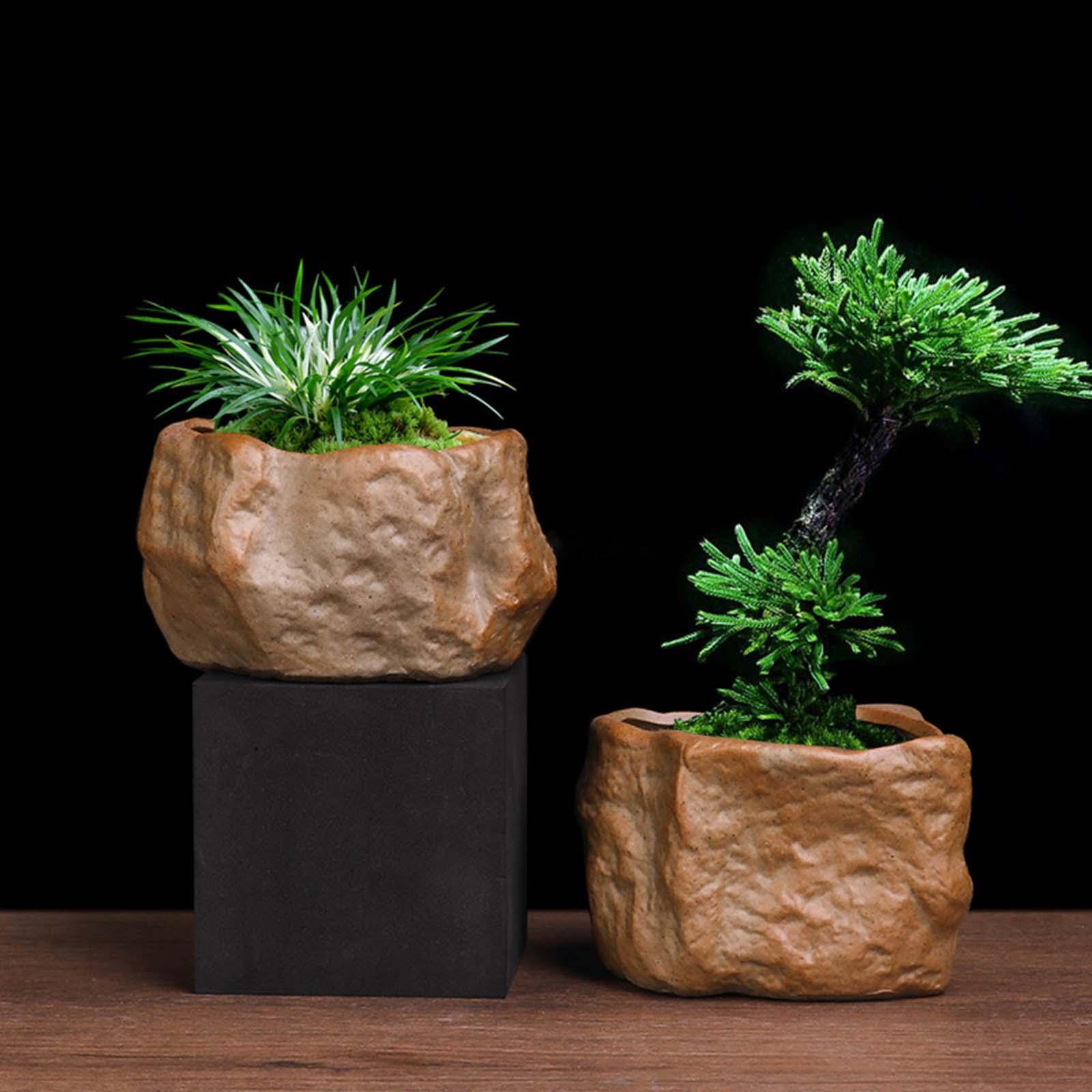 Ceramic Succulent Pot Stone Sh - Training Pot Ceramic 评论和价格