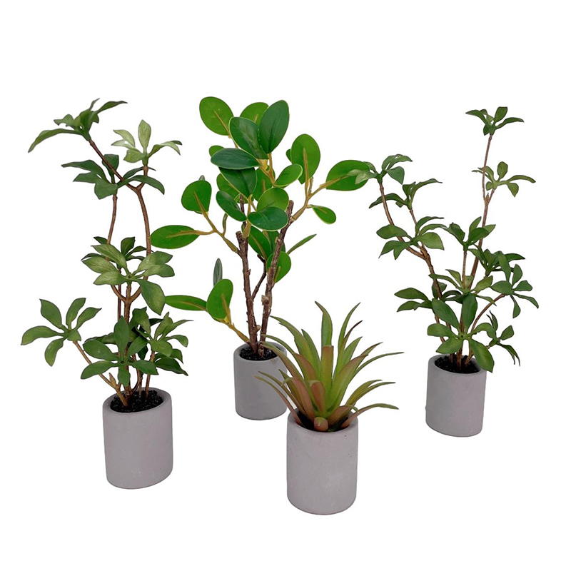 1:6 Dollhouse Miniature Potted - Bonsai Garden Home 评论和价格