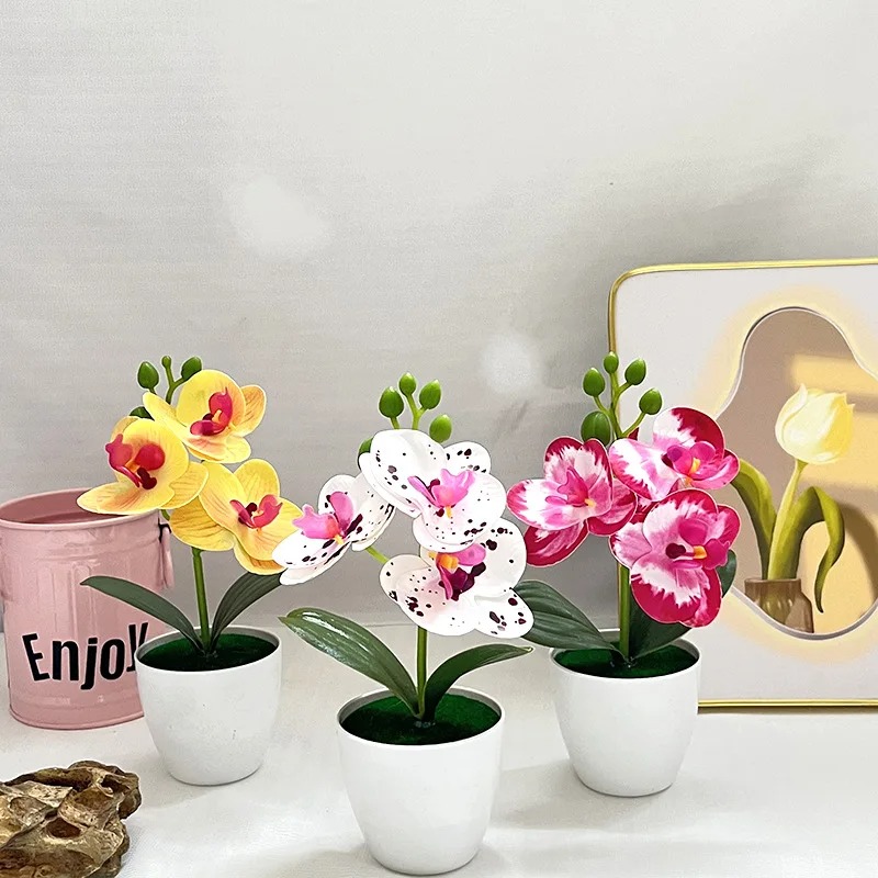 1Pcs 20CM Simulation Plants Po - Bonsai Garden Home 评论和价格