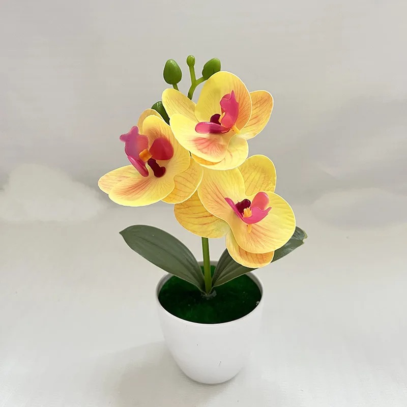 1Pcs 20CM Simulation Plants Po - Bonsai Garden Home 评论和价格