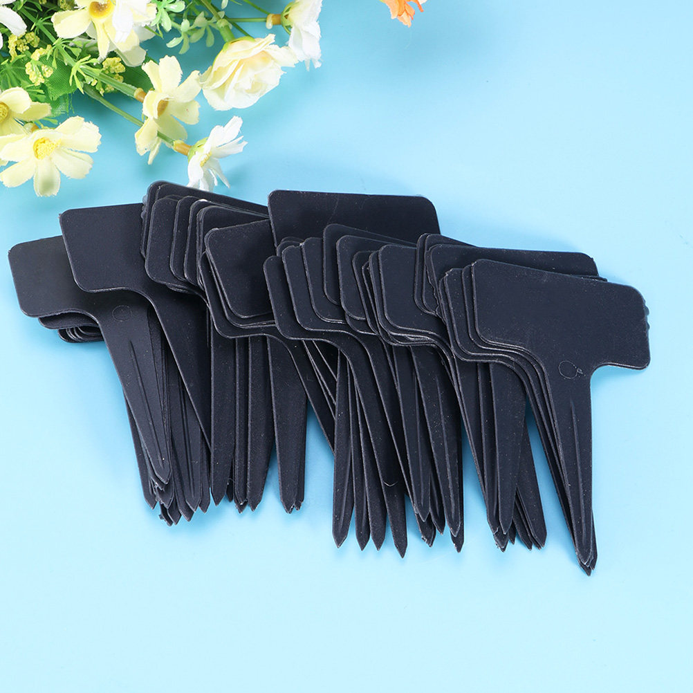 200Pcs T Shaped Plastic Plant  - Bonsai Garden Shop 评论和价格
