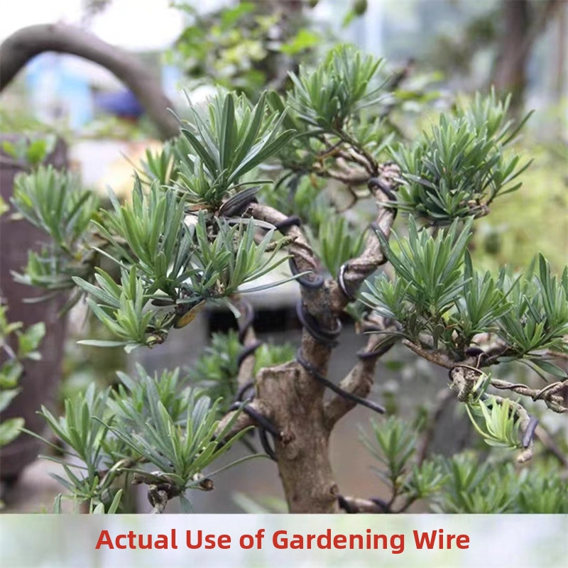 1.5MM Bonsai Wires Aluminum Bo - Bonsai Wire Aluminum 评论和价格