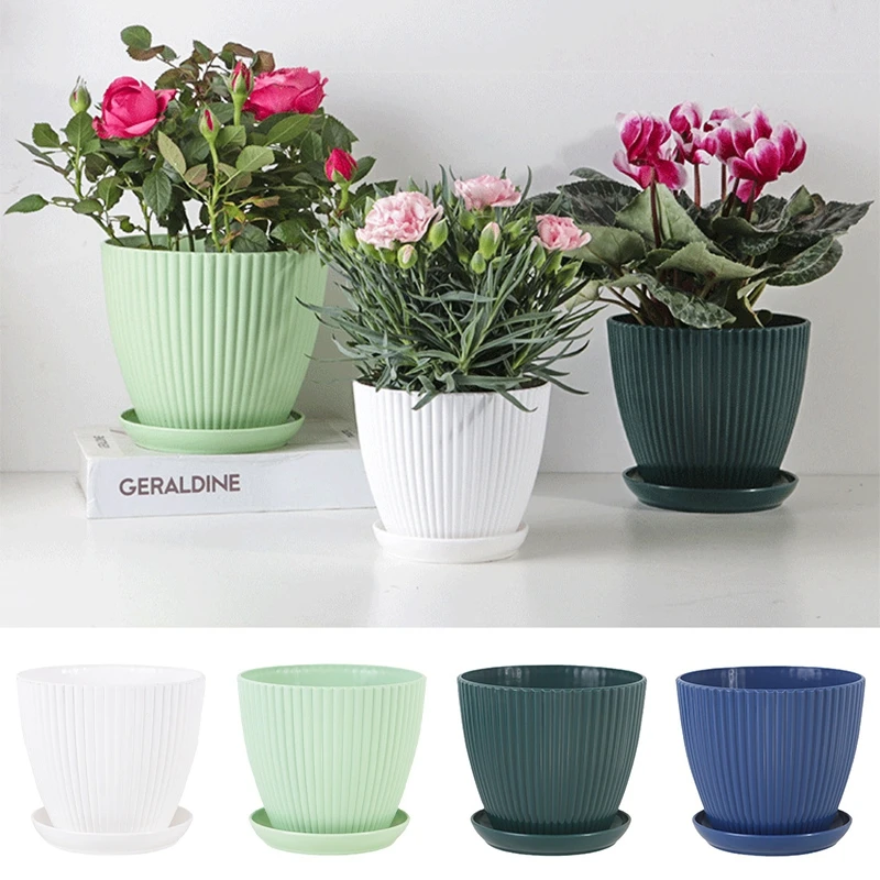 Succulent Potted Round Pot wit - Japanese Garden Bonsai 评论和价格