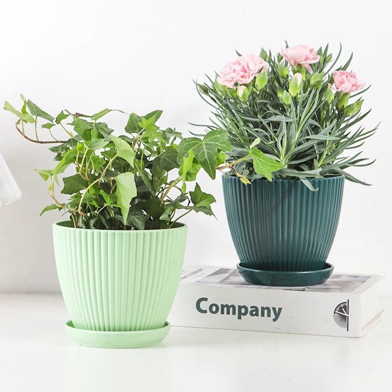 Succulent Potted Round Pot wit - Japanese Garden Bonsai 评论和价格