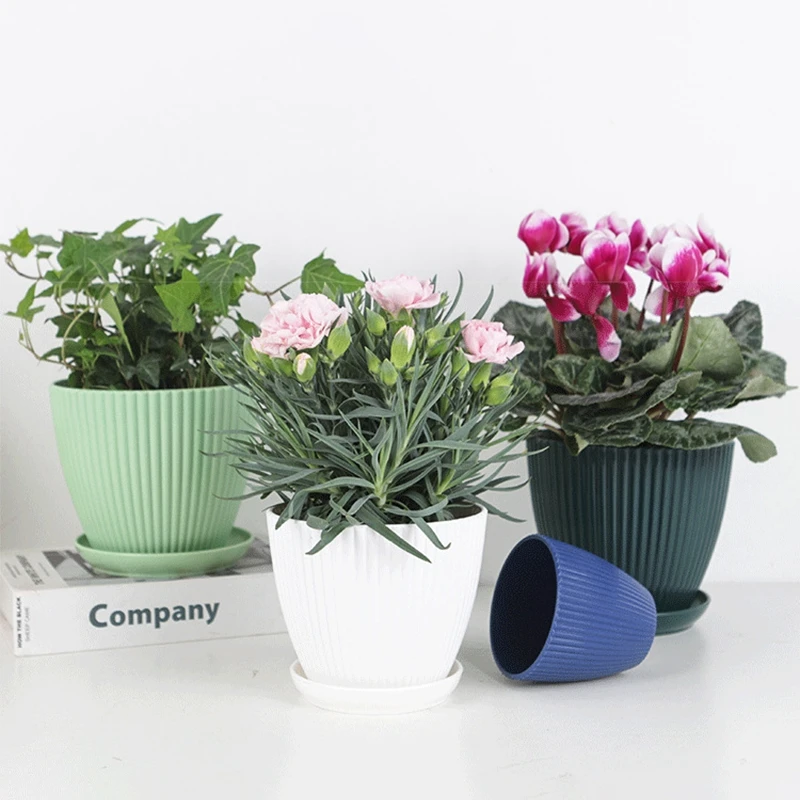 Succulent Potted Round Pot wit - Japanese Garden Bonsai 评论和价格