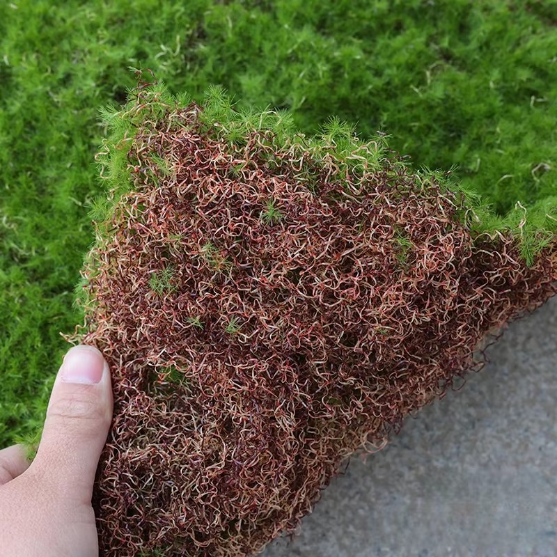 Artificial Grass Mat Green Sim - Bonsai Garden Shop 评论和价格