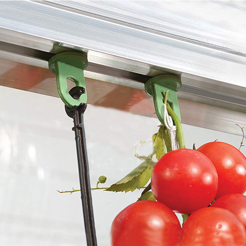10pcs Flowerpot Hanging Hooks  - Bonsai Garden Shop 评论和价格