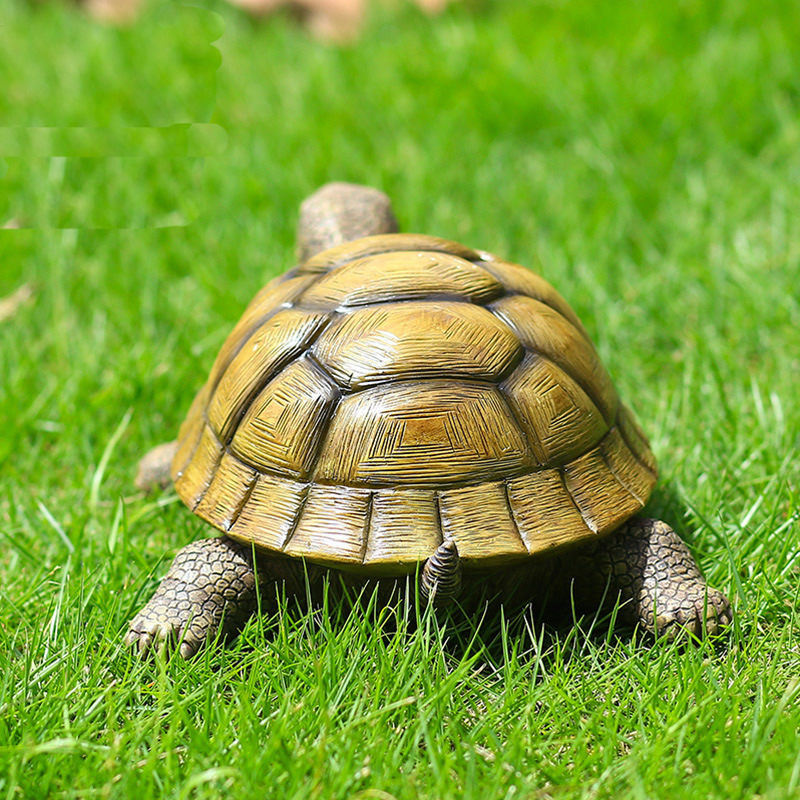 Cute Decorative Turtle Resin T - Bonsai Garden Home 评论和价格